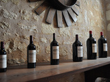Pontet Canet : des vins dans le respect du terroir et de l'environnement