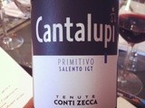 Italie – Cantalupi – Primitivo Salento –
