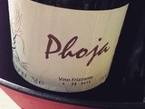 Italie – Frioul-Vénétie Julienne – Prosecco – Massimo Coletti – Phoja – 2013