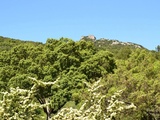 Ermitage de Pic St Loup, cuvée Guilhem Gaucelm