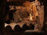 Séjour en terres ligériennes #2 : domaine du Collier, Saumur