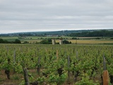 Séjour en terres ligériennes #4 : domaine Grosbois, Chinon