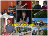 Vins oxydatifs : du jaune et de la couleur à tous les étages