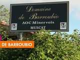 Domaine de Barroubio – St Jean de Minervois