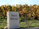 Bonville, un grand cru de la Côte des Blancs