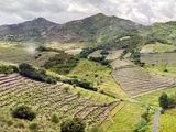 Cap sur la planète “Grenaches du Monde”