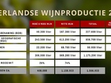 Les vignerons néerlandais ont produit 1,5 million de bouteilles en 2025