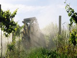 Nouvelle-Aquitaine : quel est l’impact des pesticides sur la qualité de l’air