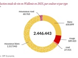 Vin belge : les chiffres 2025