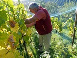 Visitez les vignobles hutois : le Clos de la Buissière