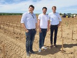 Ile-de-France : trois vignobles vont voir le jour