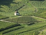 Arbois : village de vignerons et sacrée dégustation