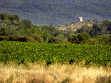 Escapade dans les vignobles de la Narbonnaise