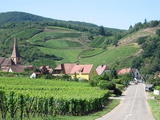 La route des vins d’Alsace soufflera ses 60 bougies en 2013