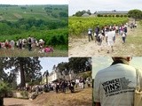 Vignes, Vins et Randos : à la découverte du Val de Loire