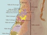 Vignobles du Monde : le Chili
