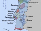 Vignobles du Monde : le Portugal
