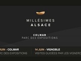 L’Alsace des Vins de Terroirs est-elle au bord d’une crise profonde