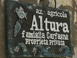 Vigneto Altura ou la renaissance par la beauté