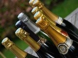 Champagne - Côte des Blancs : le Fleuron de l'élégance... - Quitou