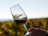 Observer le vin, mais pour quoi faire? Utilité de l’analyse visuelle