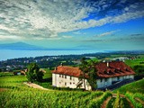 L’histoire du vignoble vaudois au travers de ses Premiers Grands Crus (épisode 3: la Suisse moderne)
