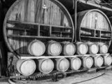 Les Trois Puechs, un domaine accroché sur les hauteurs de l’appellation Languedoc Pézenas
