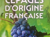 Cépages à la page