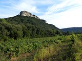 Château Signac: vinifier en Suisse ou France, quelles différences