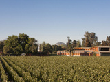 Almaviva