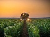 Bourgogne 2025: Un millésime de qualité et avec des quantités revenues à la normale