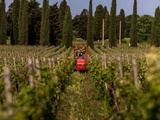 Campo alla Sughera : 25 ans à interpréter les millésimes de Bolgheri