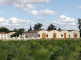 Château d’Armailhac: Terroirs de Cabernet Sauvignons