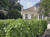 Château Deyrem-Valentin