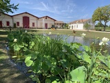 Château Duplessis: Un joyau renouvelé et redécouvert à Moulis-en-Médoc