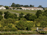Château Montrose