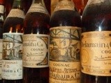 Cognac Delamain