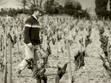 Décès d’Emmanuel Reynaud, vigneron du Château Rayas