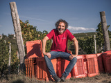 Gianni doglia, vendanges 2026 : une saison précoce met à l’épreuve l’équilibre du vignoble