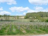 Les bons chiffres 2013 des Côtes de Bordeaux