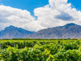 Ningxia