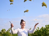 Premières Côtes de Bordeaux : l’appellation prépare son renouveau à l’horizon 2028