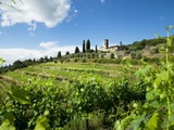 Querciabella, un domaine qui a accompagné la renaissance du Chianti Classico