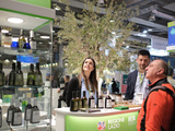Sol Expo 2026 : Vérone célèbre l’excellence de l’huile d’olive