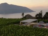 Tenuta Castellaro
