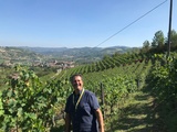Vendanges 2025 en Piémont, Italie