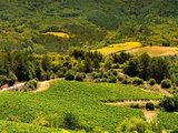 Vignobles en Scène, le nouvel événement national dédié à l’œnotourisme