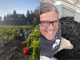 Vincent Wine Company