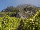 Séance Vertivingstone : vignoble de la Nahe en Allemagne places libres