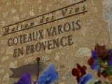 Vertivingstone du 21 septembre sur les Coteaux Varois en Provence : places libres